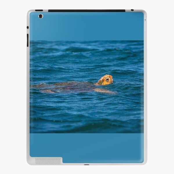 Sea Turtle - The deep Blue Sea iPad Skin