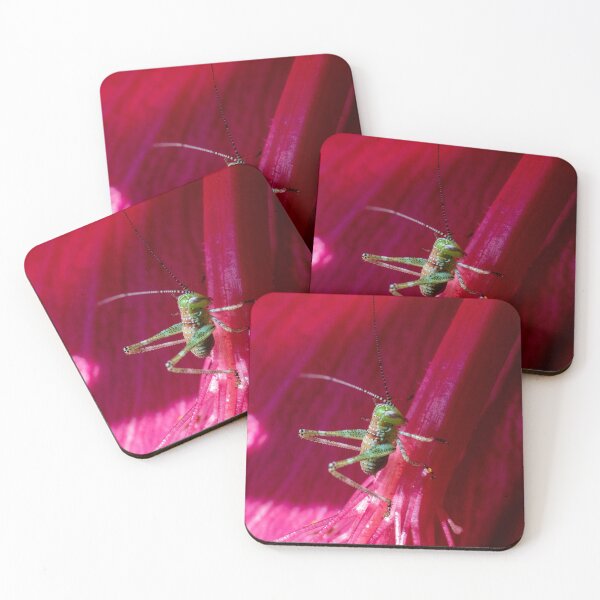 Item preview, Micro Grass Hopper designed and sold by DPalmer.
