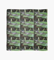 Smiling Baby Alligator Sleeping on Lilly Pad Scarf