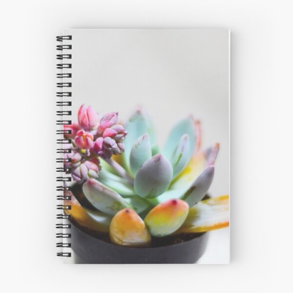 Item preview, Colorful Succulents designed and sold by Asiantiger247.