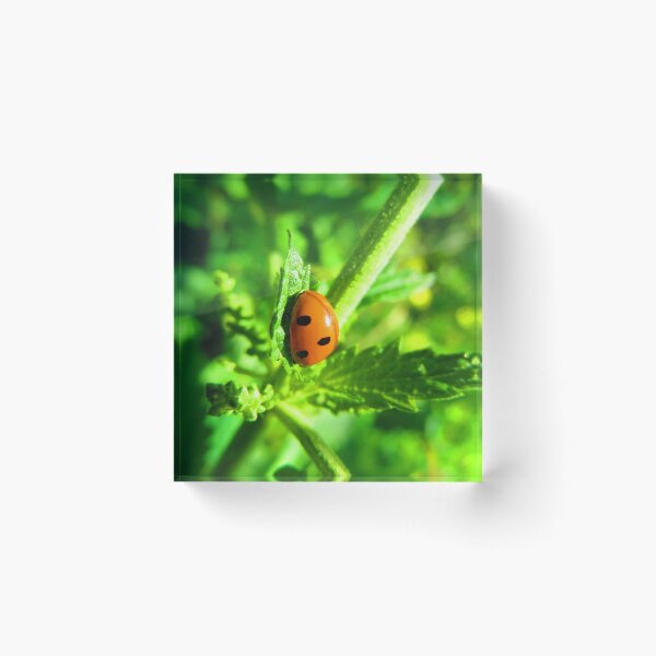 Item preview, Ladybug. designed and sold by DioptriArt.