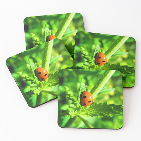 Item preview, Ladybug. designed and sold by DioptriArt.