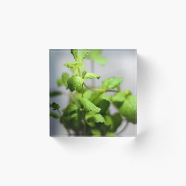 Item preview, Herbs Mint designed and sold by Asiantiger247.