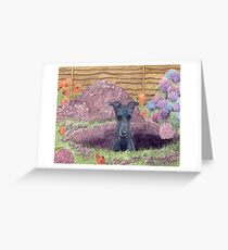He was modest about his achievements Greeting Card