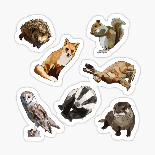 Item preview, Fox, Badger, Barn Owl, Squirrel, Hedgehog, Otter with Teal Background designed and sold by BeeFoxTree.