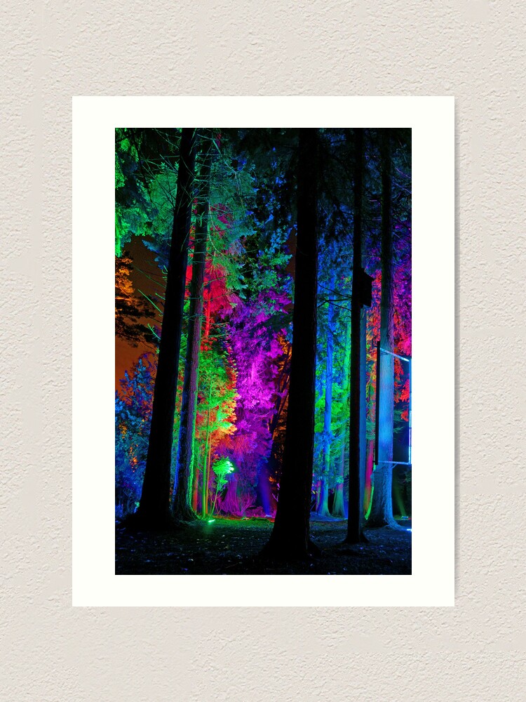 electric-forest-1-art-print-for-sale-by-orion976-redbubble