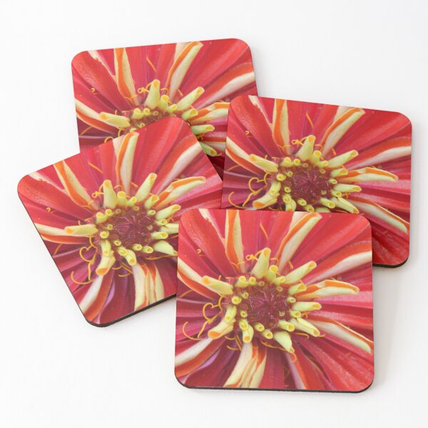 Item preview, Inside Natures Beauty <3.  designed and sold by Dreamers-Escape.