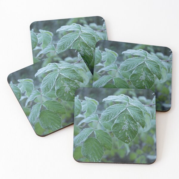 Item preview, Nature, leaves, frost, green, photography, BebiCervin designed and sold by BebiCervin.