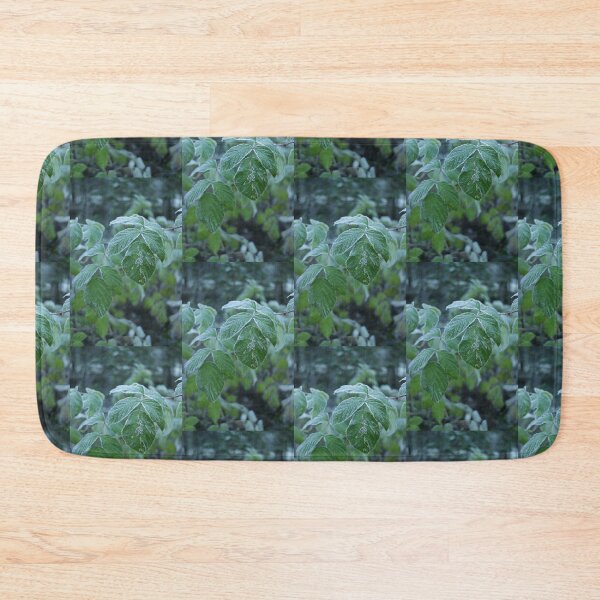 Item preview, Nature, leaves, frost, green, photography, BebiCervin designed and sold by BebiCervin.