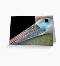 Mr.Pelican. Greeting Card