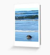 The Return... Greeting Card