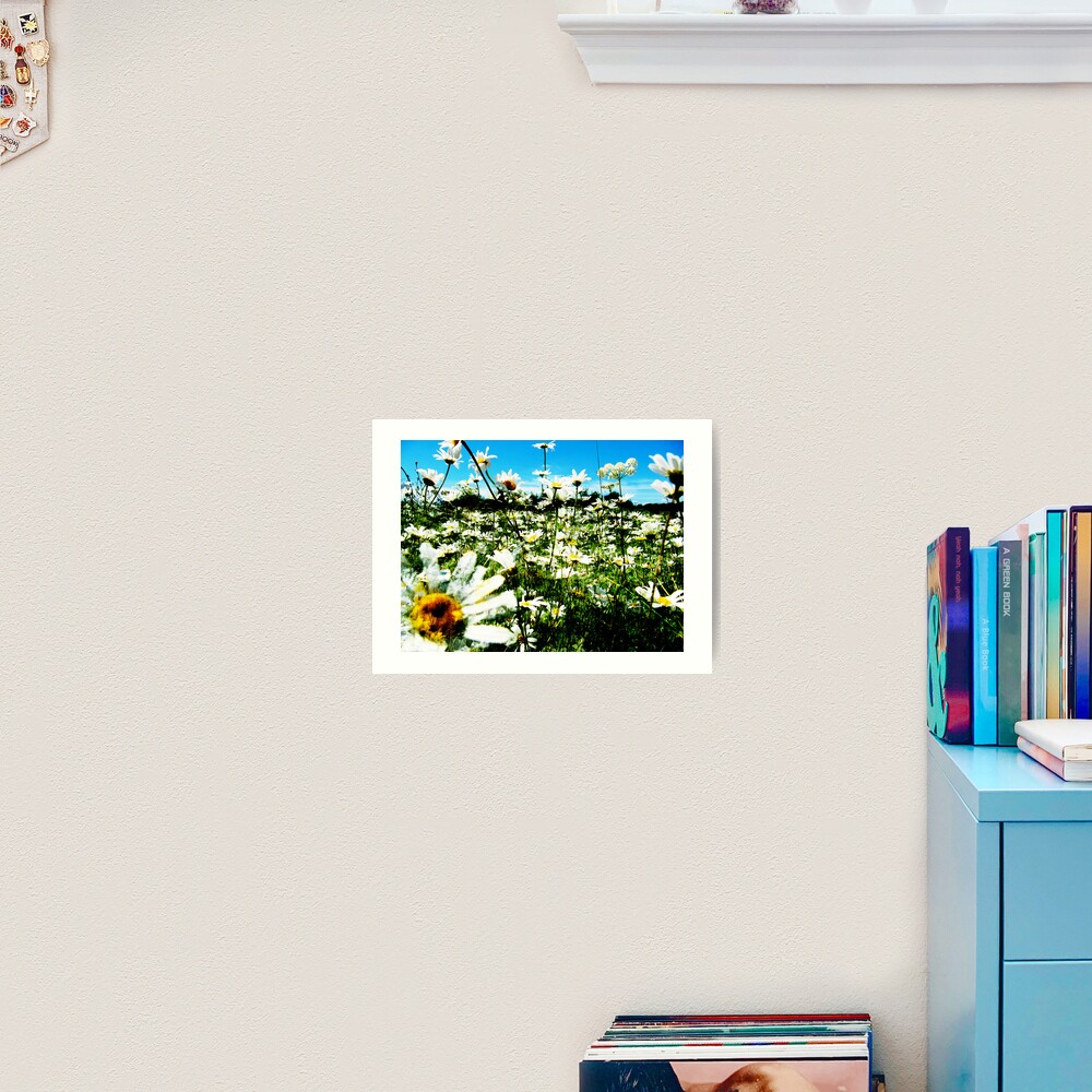 Daisy's Field Art Print