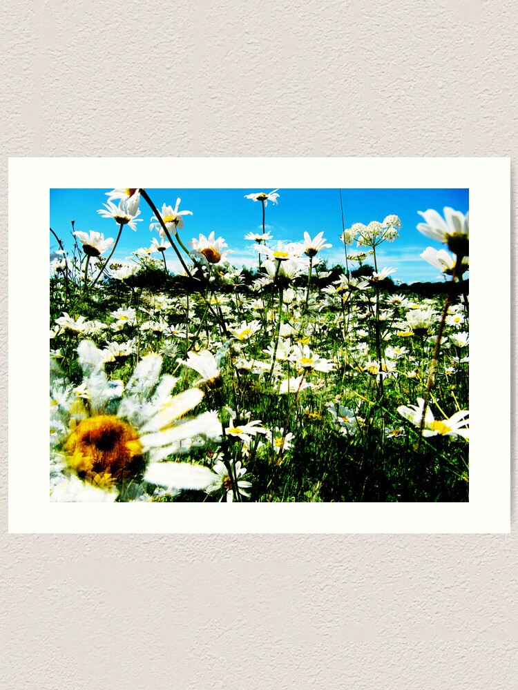 Alternate view of Daisy's Field Art Print