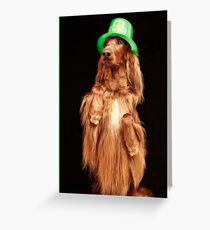 Irish Charmer Greeting Card