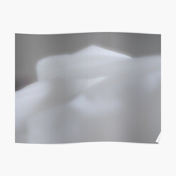 Fluffy White Poster