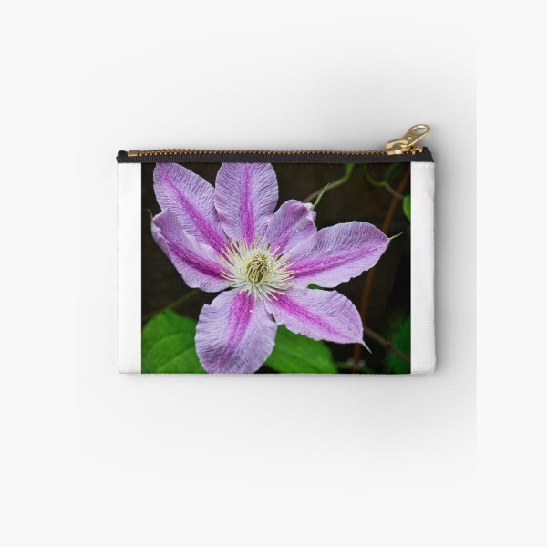 Item preview, Clematis designed and sold by Colin Metcalf.