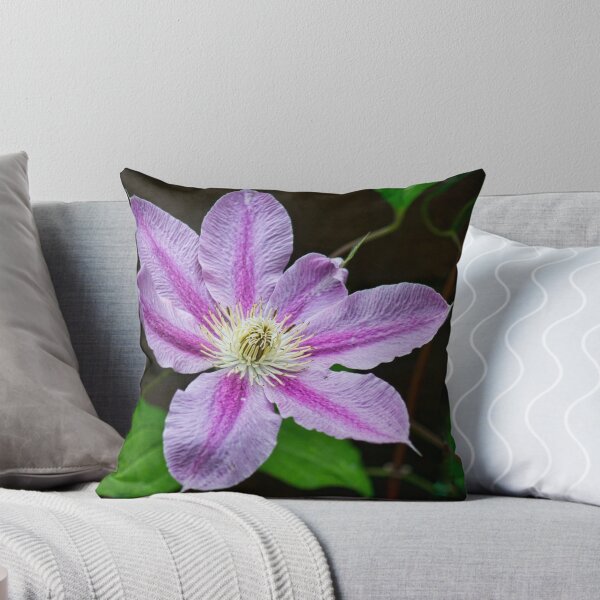 Item preview, Clematis designed and sold by Colin Metcalf.