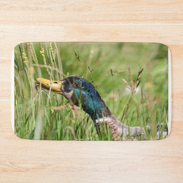 Item preview, Grazing mallard drake designed and sold by GreyFeatherPhot.