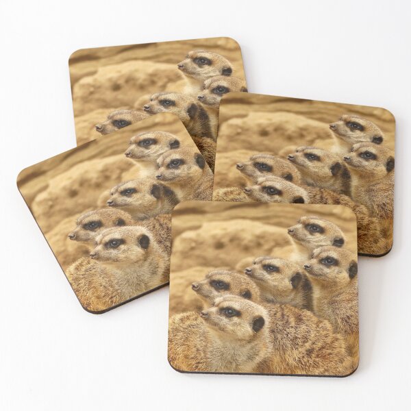 Item preview, Meerkat group designed and sold by REENS_PHOTOS.