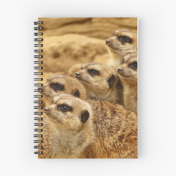 Item preview, Meerkat group designed and sold by REENS_PHOTOS.