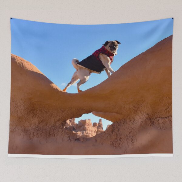 Item preview, Pug Strikes A Sassy Pose designed and sold by pugventurephoto.