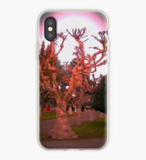 Pleno Invierno.... iPhone Case