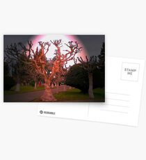 Pleno Invierno.... Postcards