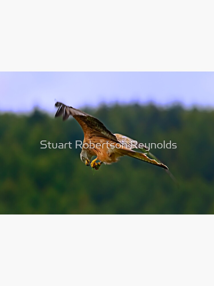 On The Wing by Sparky2000