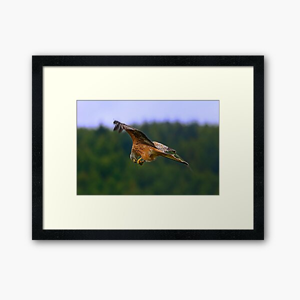 On The Wing Framed Art Print
