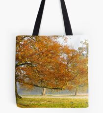 Last Moments of Colour Tote Bag