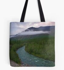 Behind polar circle Tote Bag
