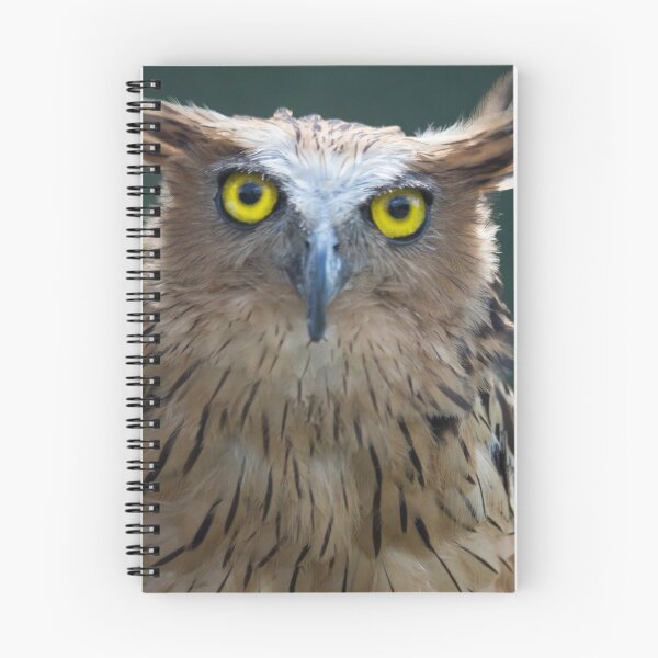 Item preview, The Intense Yellow-eyed Stare designed and sold by byronbackyard.