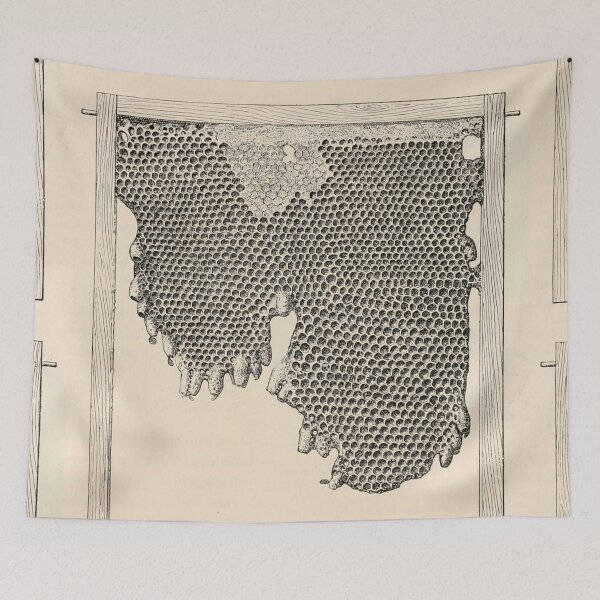Item preview, Honeycomb Frame designed and sold by BlueSpecsStudio.