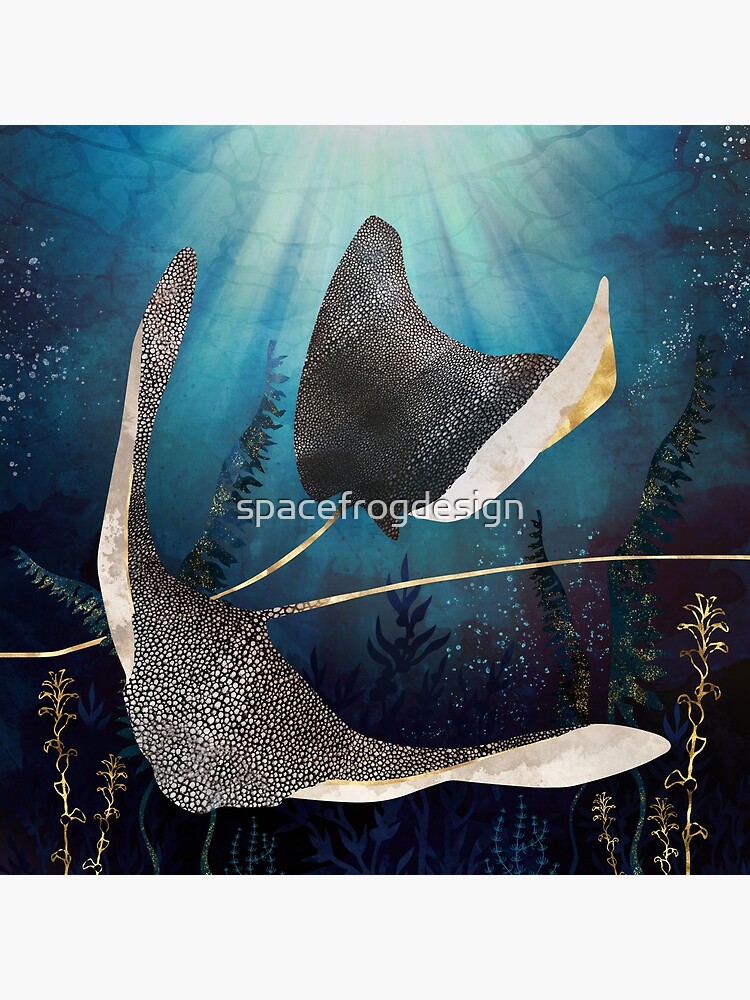 stingray emergency shower