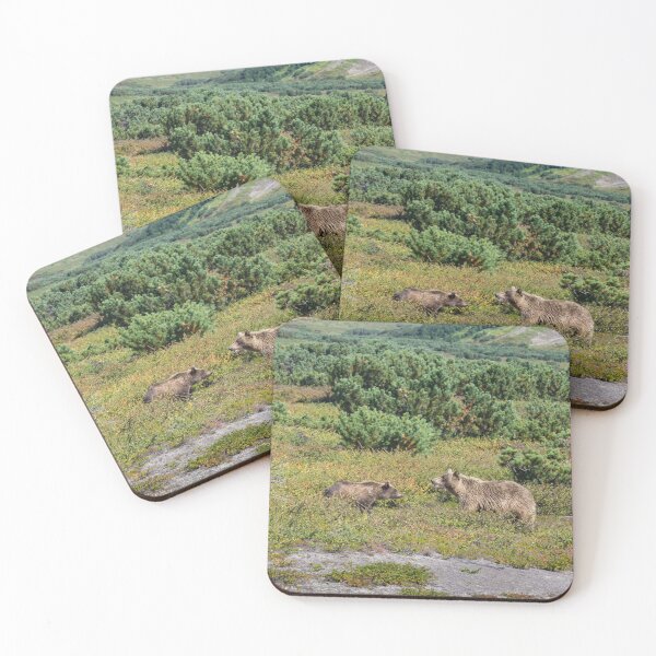 Item preview, Kamchatka brown bears (mother and cub) designed and sold by Svetlana Korneliuk.