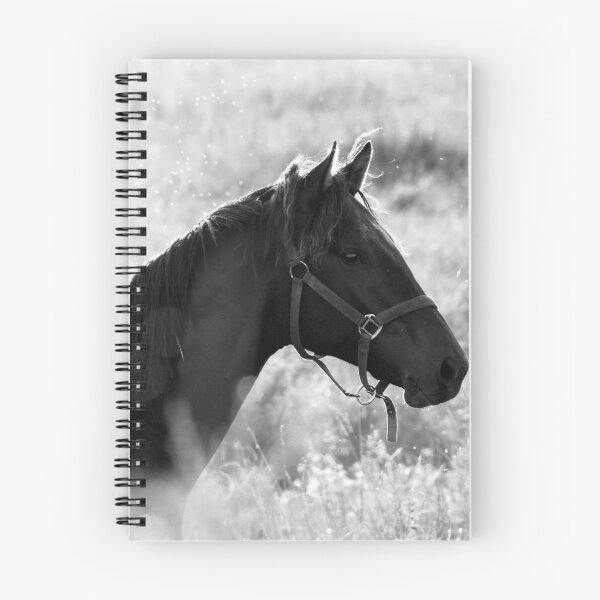 Item preview, 21.8.2015: Horse on Pasture at Summer Evening II designed and sold by Petri Volanen.