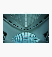 Starship Photographic Print