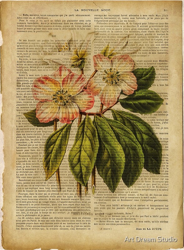 "Botanical print, on old book page flowers" by Lily D Redbubble