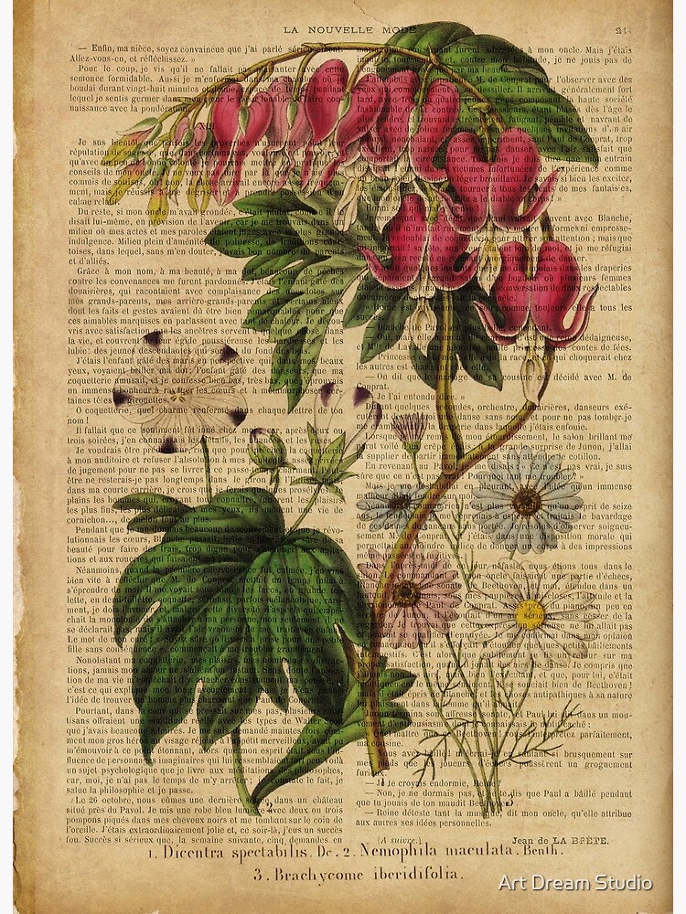 Botanical print, on old book page - Mandragora Tapestry for Sale by Art  Dream Studio