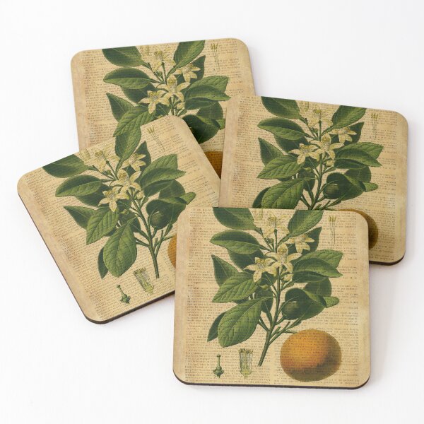 Item preview, Botanical print, on old book page - orange designed and sold by Art by Lilia.