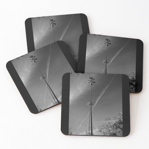 Item preview, Palms Noir with Contrails designed and sold by Laurie Allee.