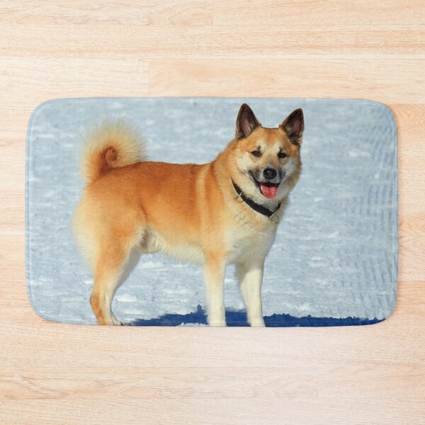 Item preview, IcelandicSheepdog20160201 designed and sold by JAMFoto.