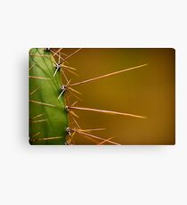 Spike Canvas Print