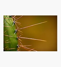 Spike Photographic Print