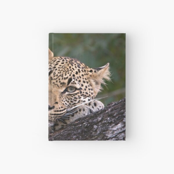 Nyaleti Young Male 2-3 Hardcover Journal
