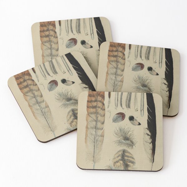 Item preview, Naturalist Feather designed and sold by BlueSpecsStudio.