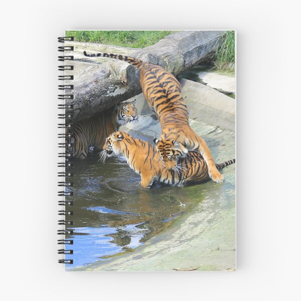 Item preview, If I jump on you will you pay attention? designed and sold by Sheila Smith.