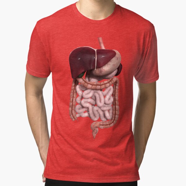 t shirt digestive system