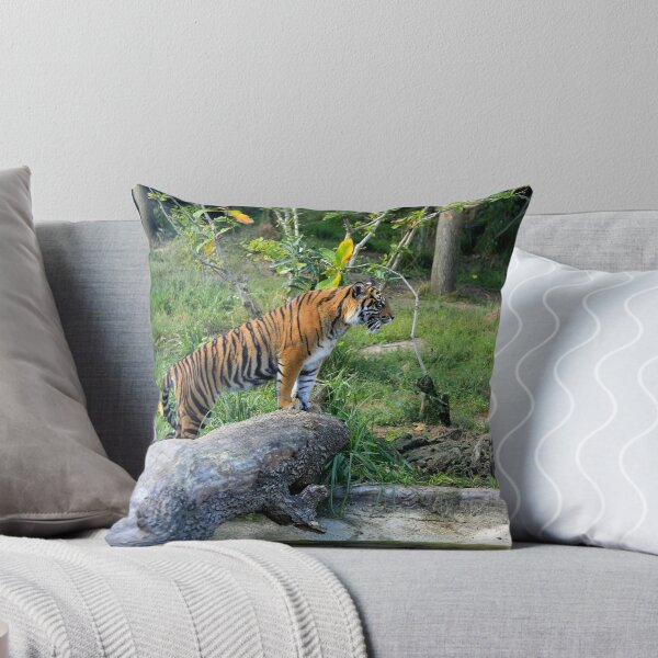 Item preview, Female Sumatran Tiger cub watches her brothers antics. designed and sold by Sheila Smith.