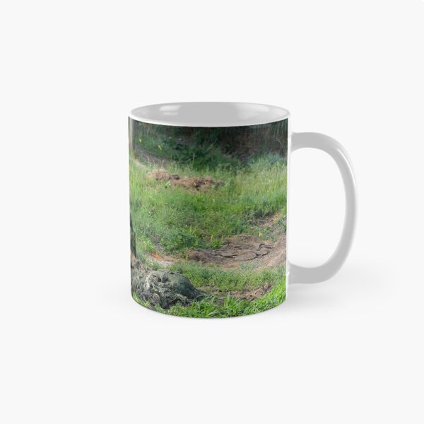 Item preview, Female Sumatran Tiger cub watches her brothers antics. designed and sold by Sheila Smith.